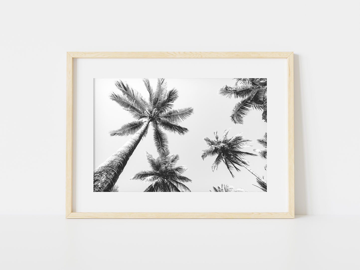 Palms