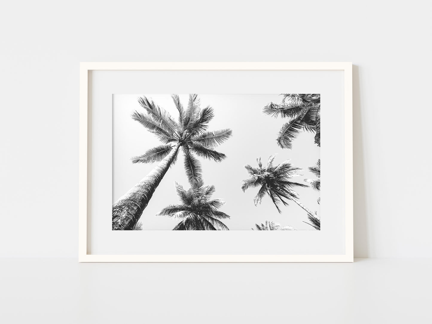 Palms