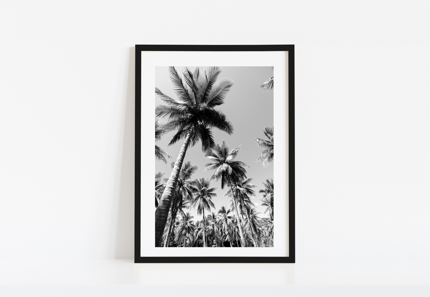 Palm Forest