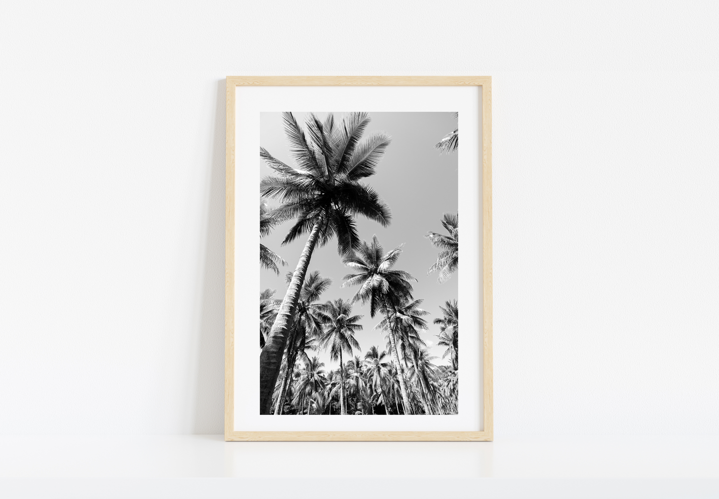 Palm Forest